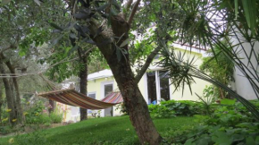Apartment Casetta